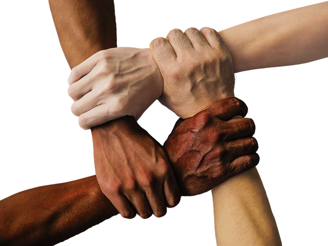 Our Team at Digital Forge